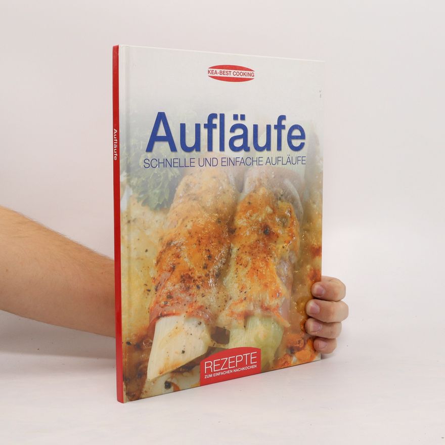 Kolektiv autorů Aufläufe