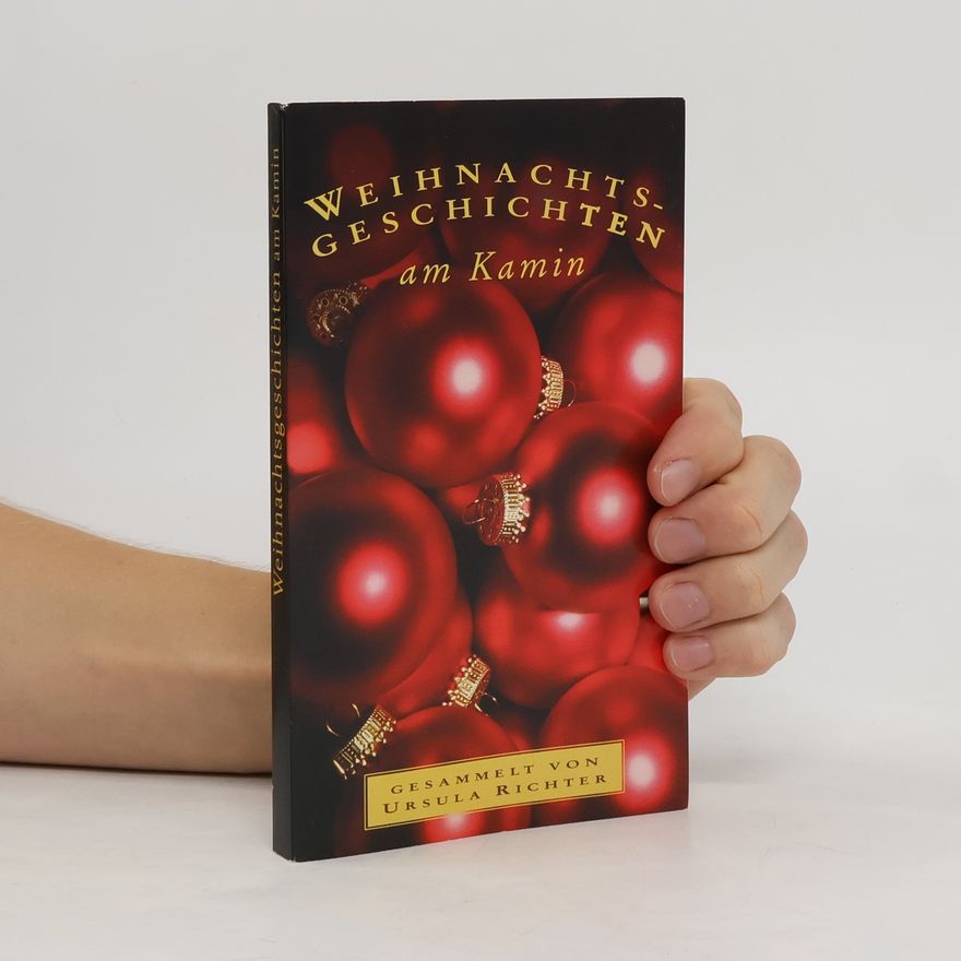 Collectif d'auteurs Weihnachtsgeschichten am Kamin