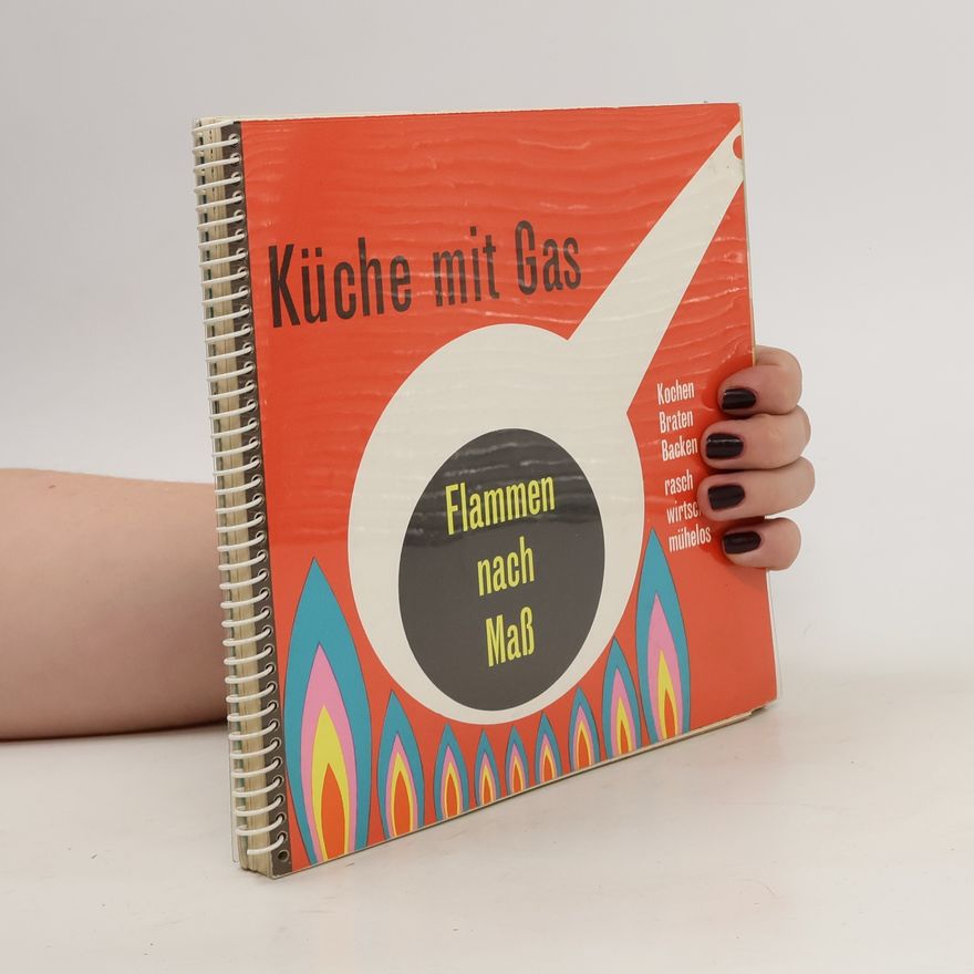 Kolektiv autorů Küche mit Gas