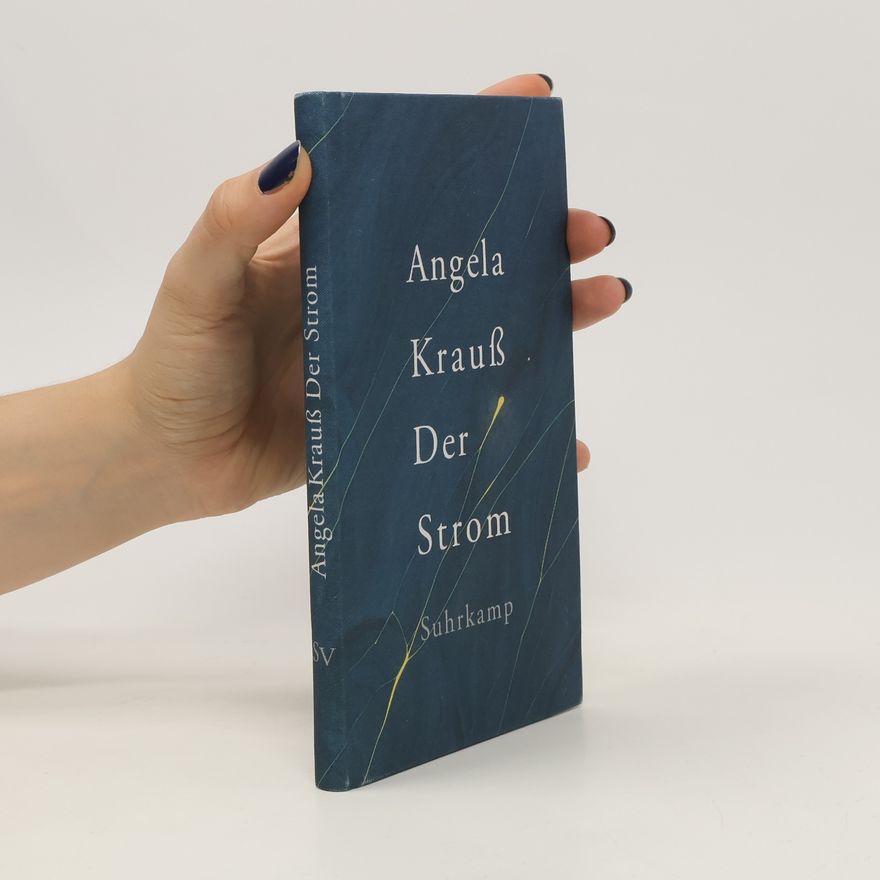 Angela Krauss Der Strom
