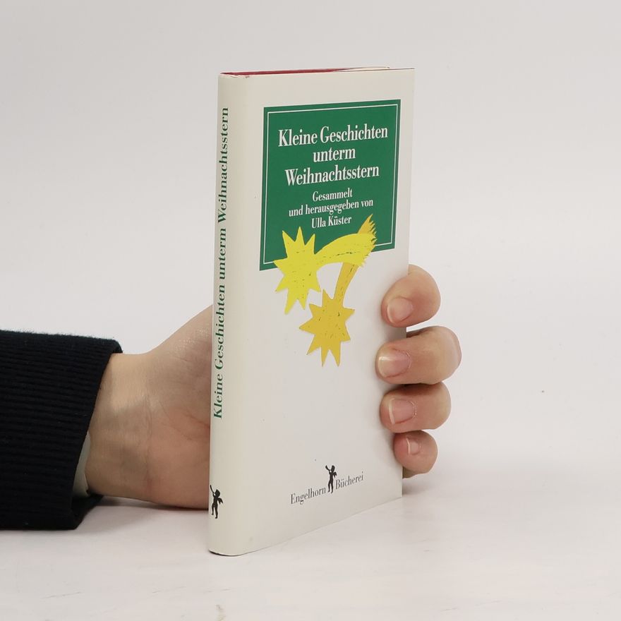 Autorenkollektiv Kleine Geschichten unterm Weihnachtsstern
