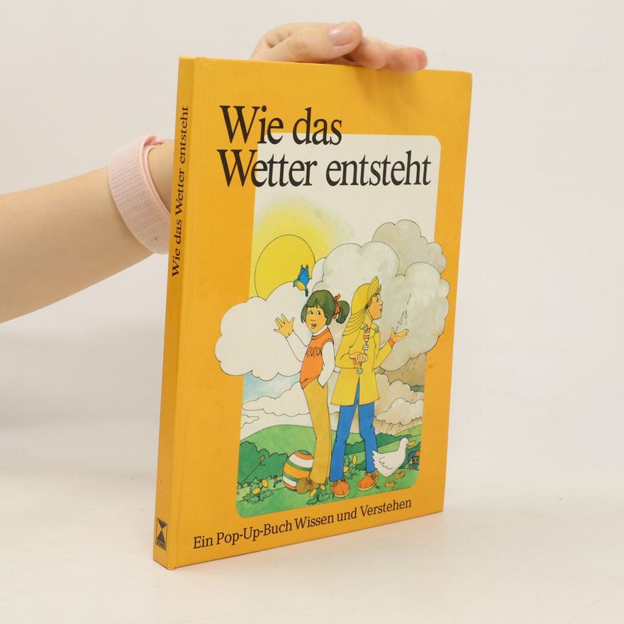 Peter S. Seymour Wie das Wetter entsteht