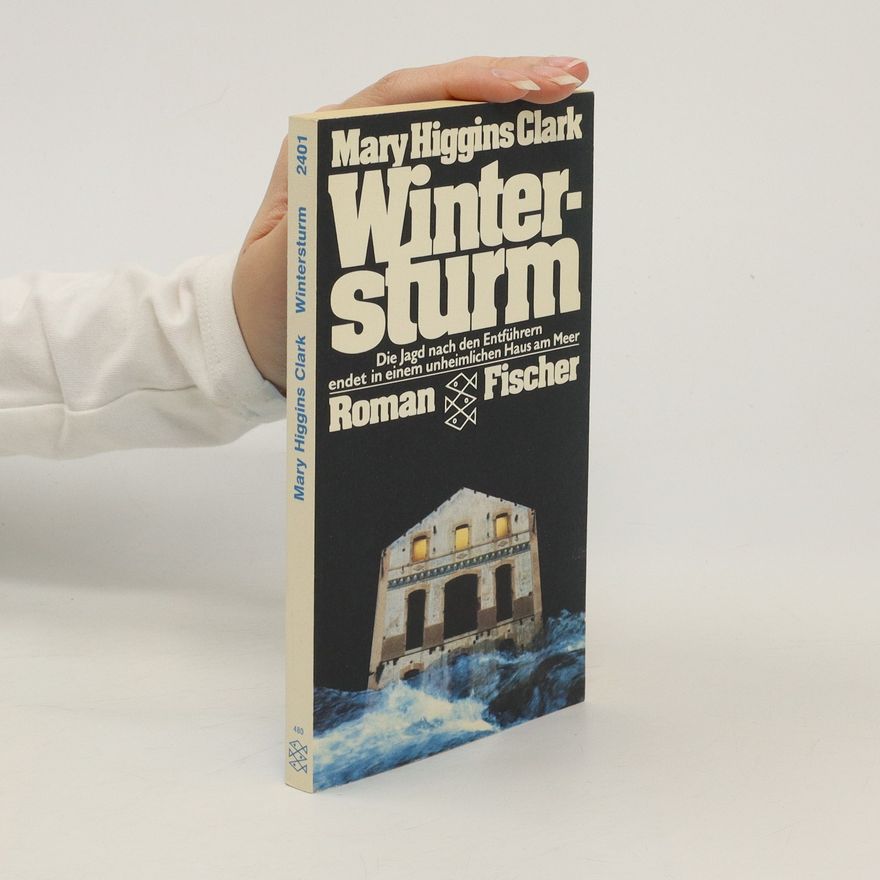 Mary Higginsová Clarková Wintersturm