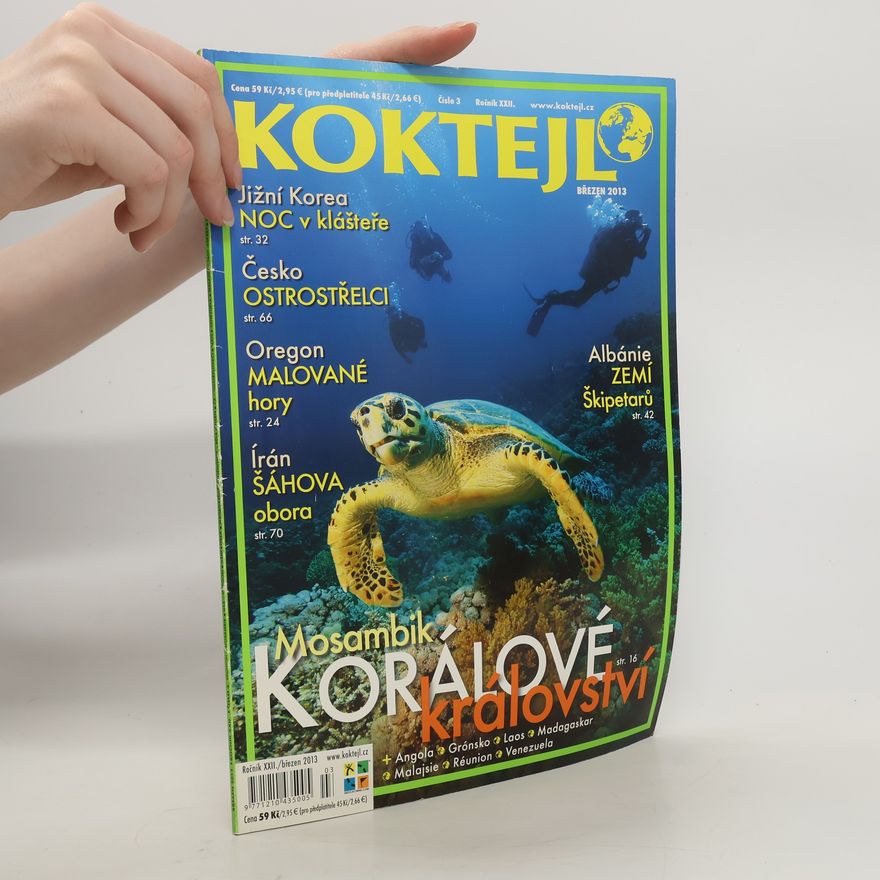 Kolektiv autorů Koktejl 3/2013