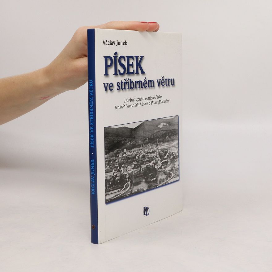Václav Junek Písek ve stříbrném větru