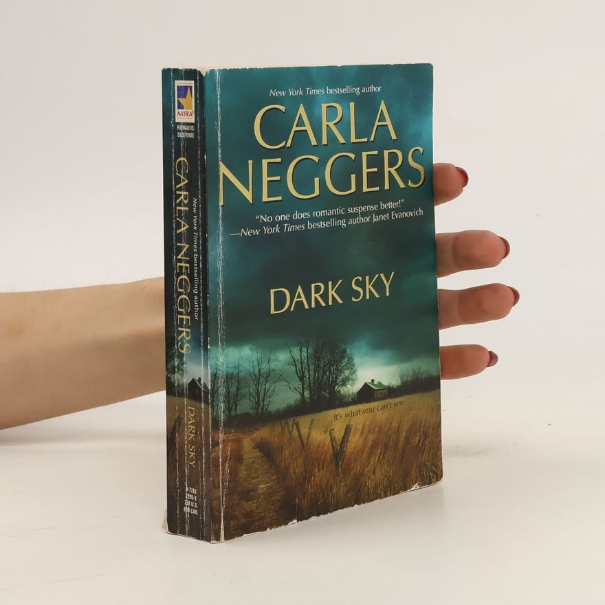 Carla Neggers Dark Sky