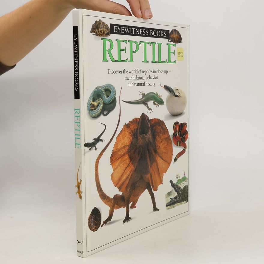 Colin McCarthy Reptile