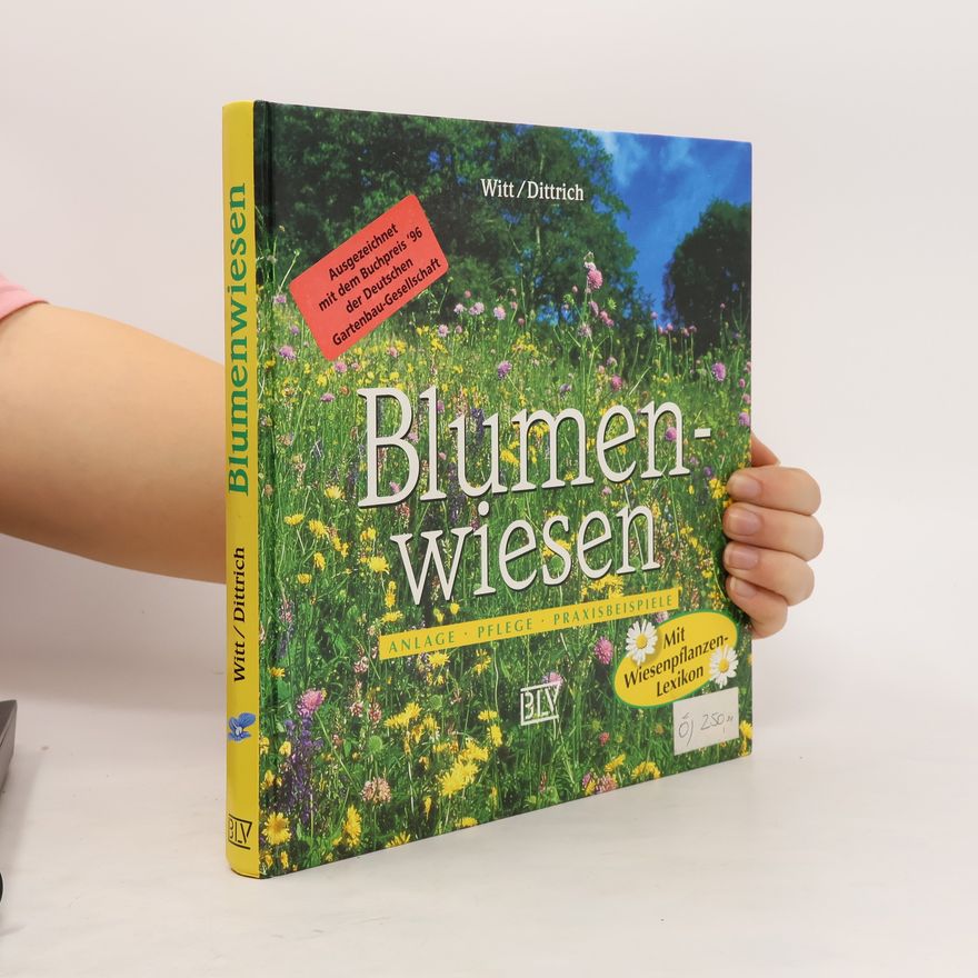 Reinhard Witt Blumenwiesen