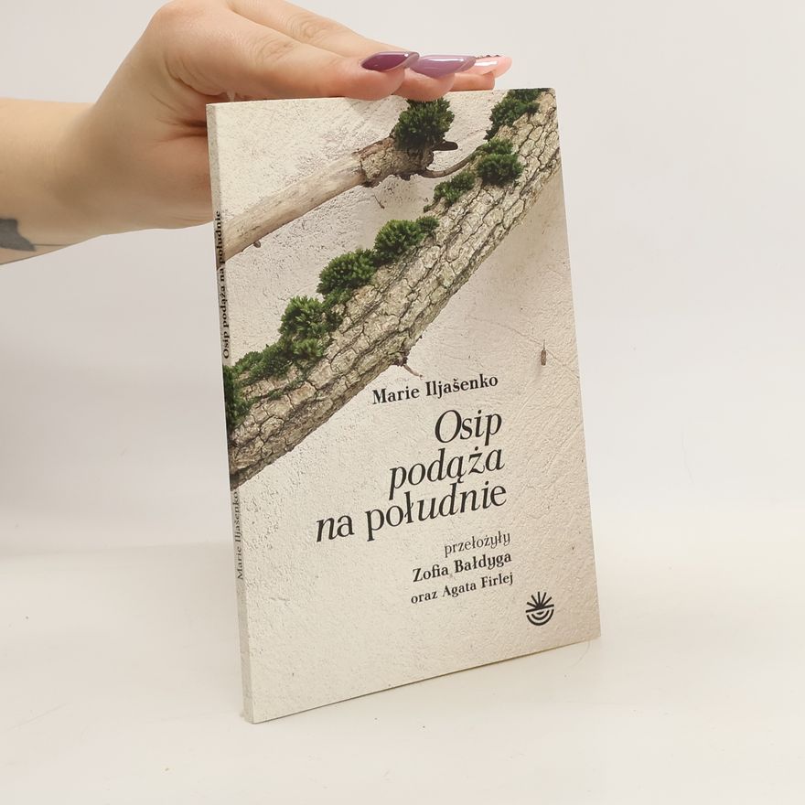 Marie Iljašenko Osip podaza na poludnie