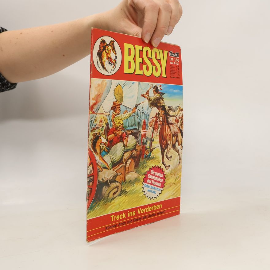 Kolektiv autorů Bessy Nr. 613