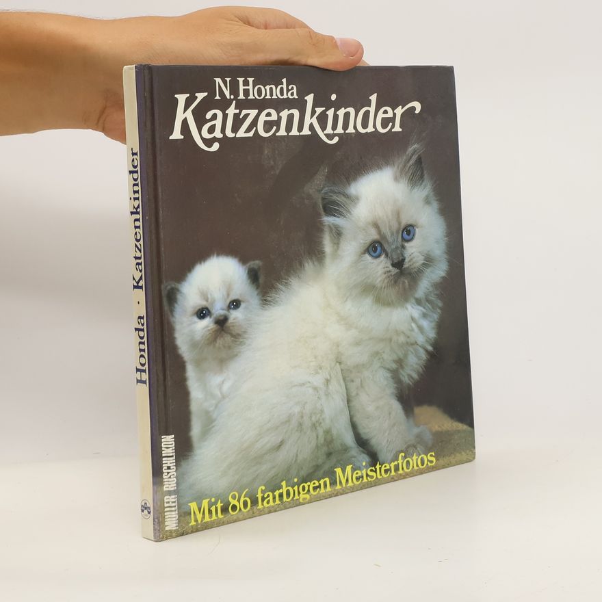 Nobuo Honda Katzenkinder