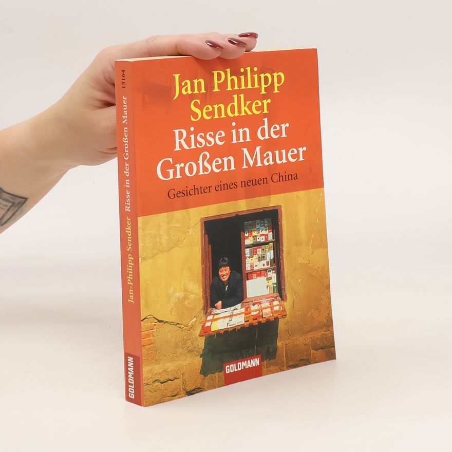 Jan-Philipp Sendker Risse in der Grossen Mauer