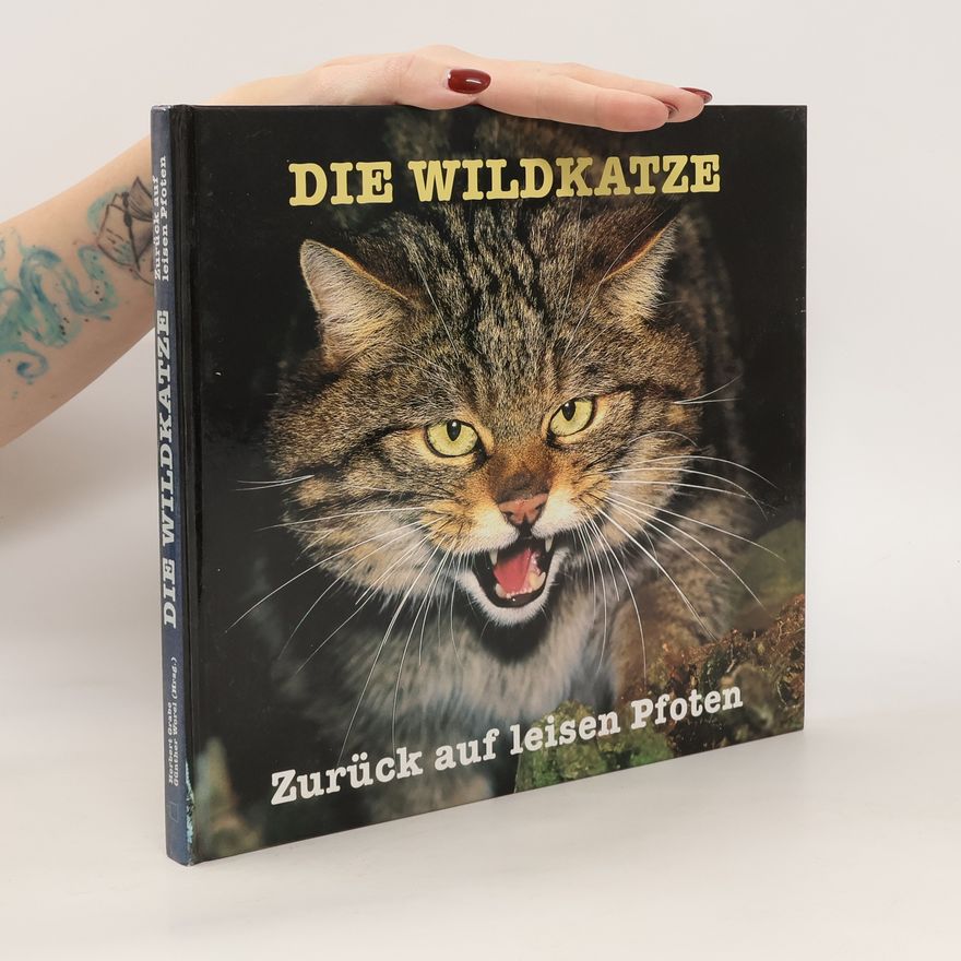 Herbert Grabe Die Wildkatze