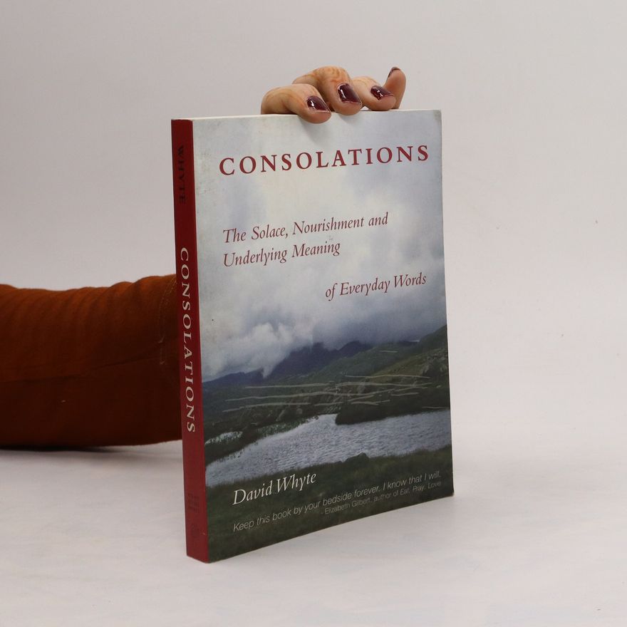 david Whyte Consolations