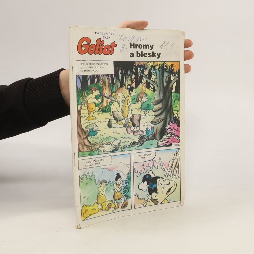 Autorenkollektiv Goliat. Hromy a blesky