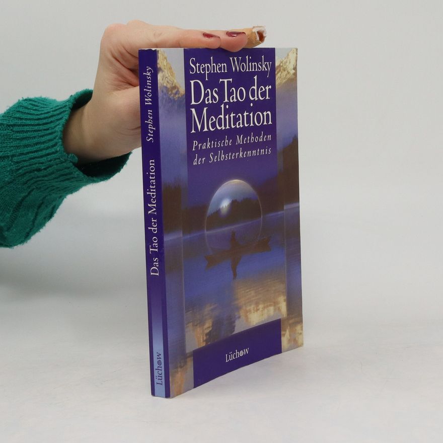 Stephen Wolinsky Das Tao der Meditation