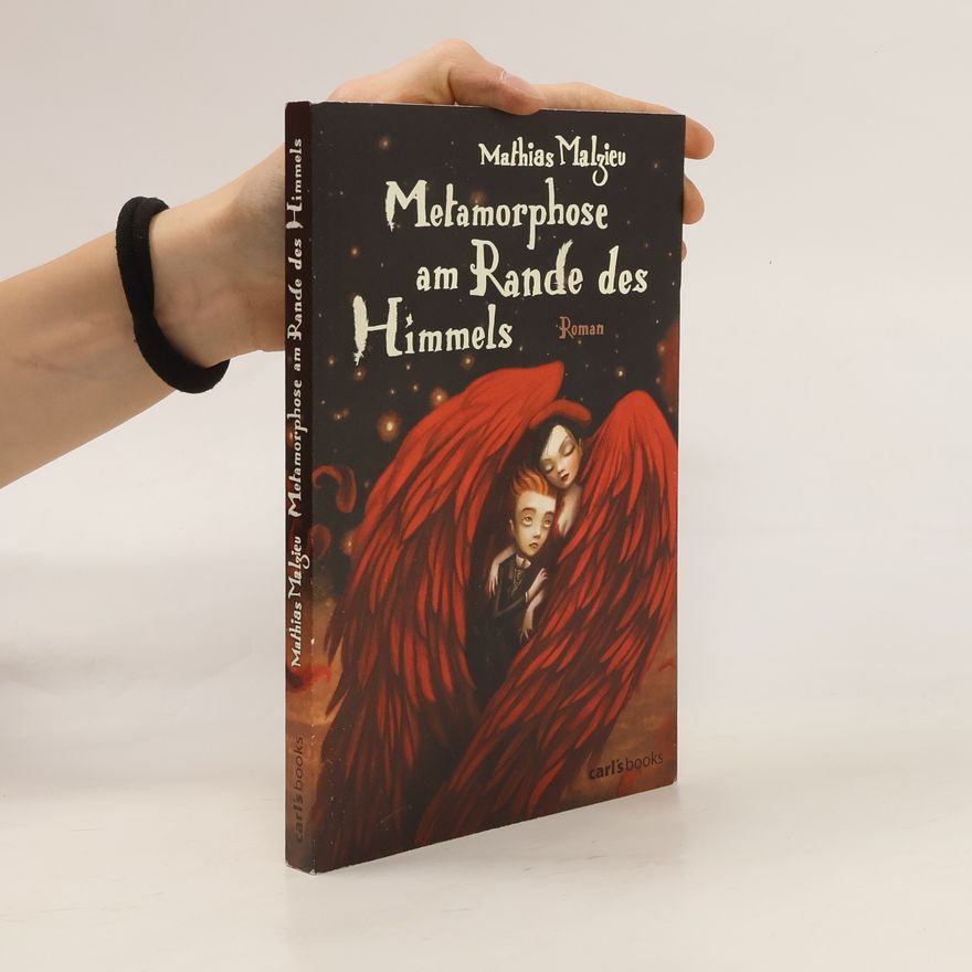 Mathias Malzieu Metamorphose am Rande des Himmels