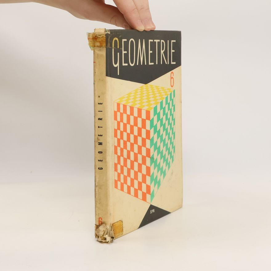 Auteurscollectief Geometrie 6