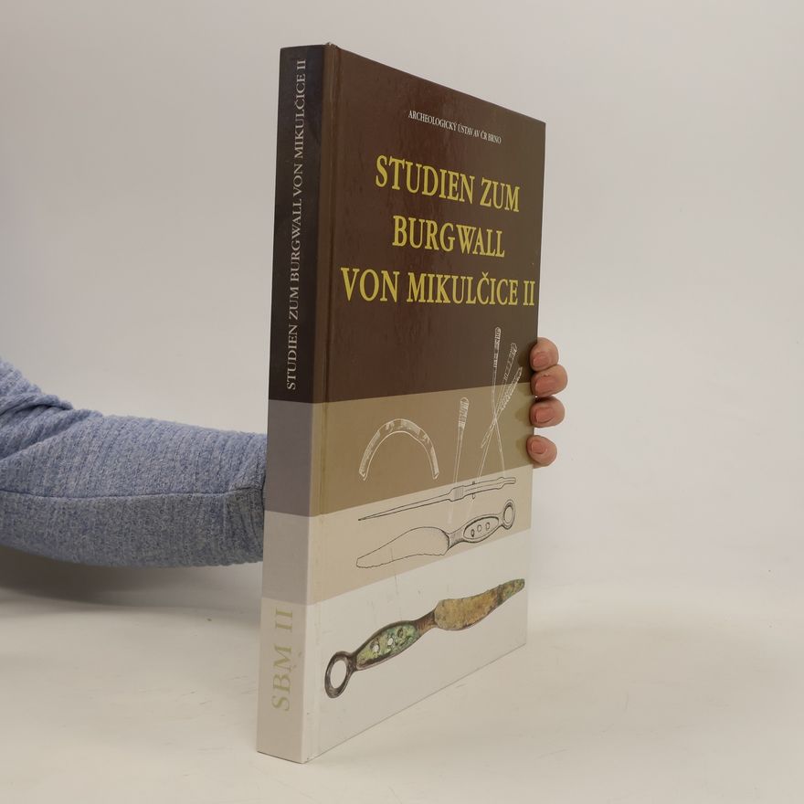 Lumír Poláček Studien zum Burgwall von Mikulčice