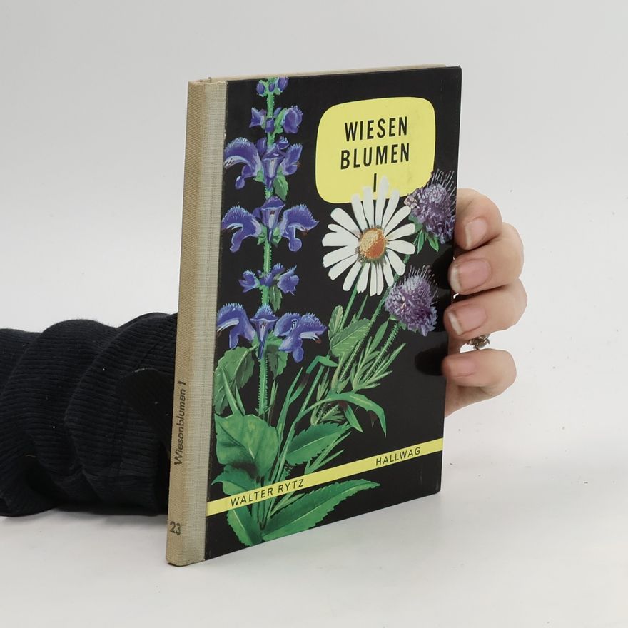 Walter Rytz Weisenblumen I