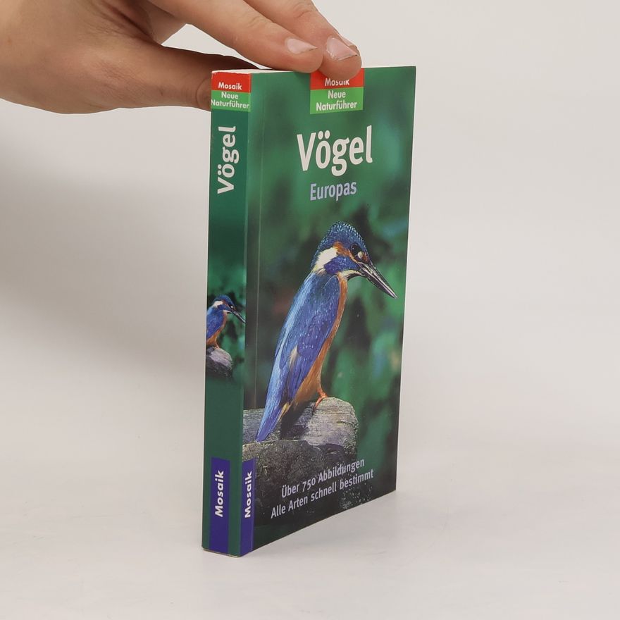 Peter Holden Vögel Europas