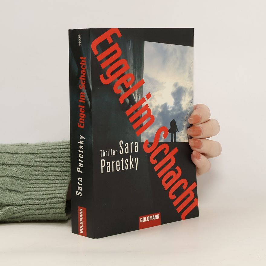 Sara Paretsky Engel im Schacht