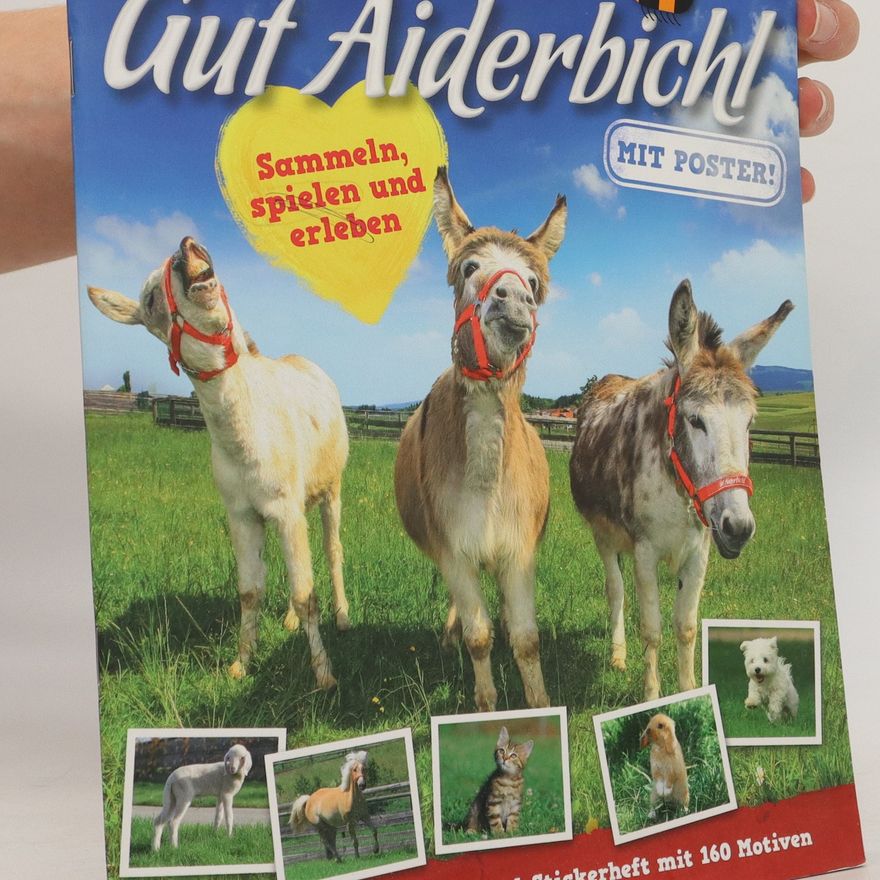 Autorenkollektiv Gut Aiderbich!