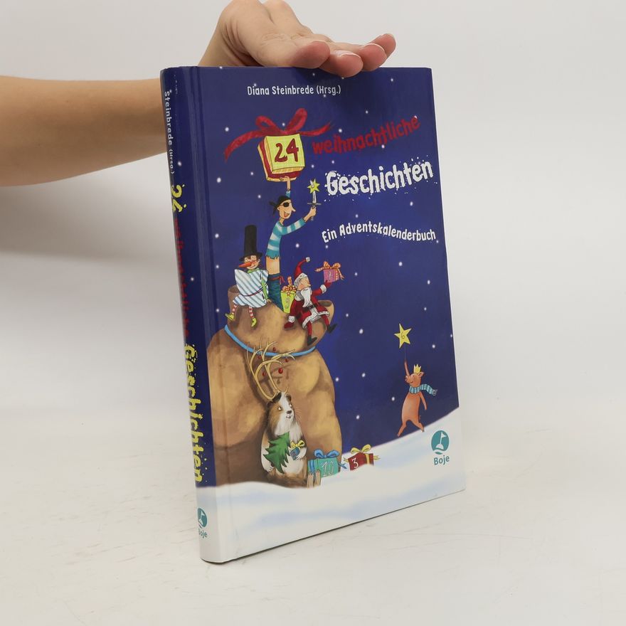 Diana Steinbrede 24 weihnachtliche Geschichten