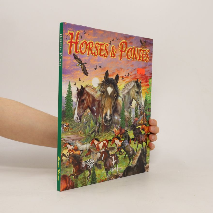 Kathryn Walker Horses and Ponies