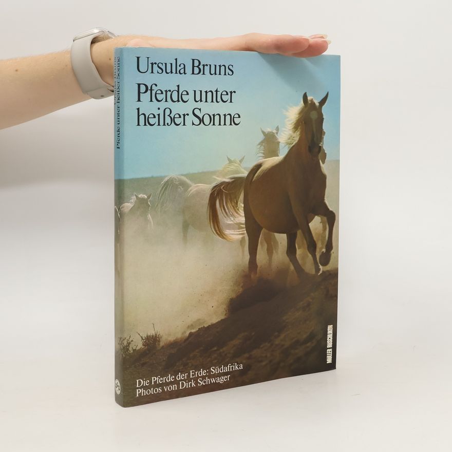 Ursula Bruns Pferde unter heisser Sonne
