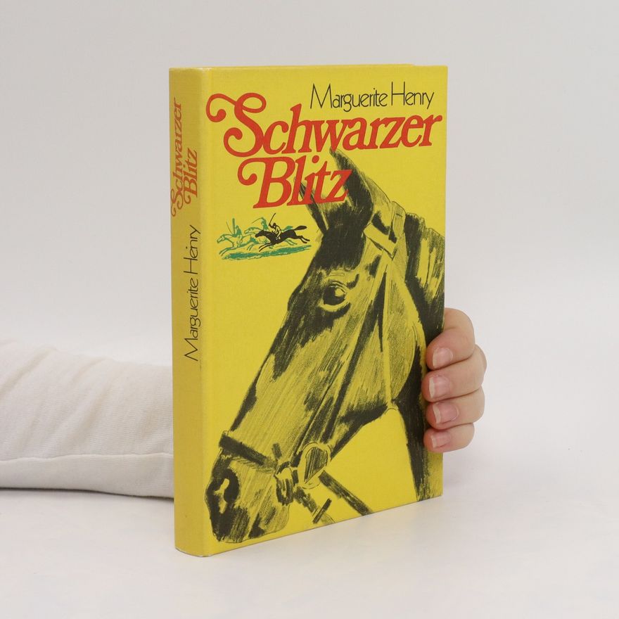 Marguerite Henry Schwarzer Blitz