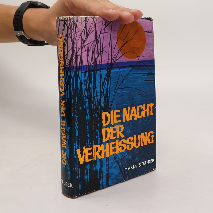 Maria Steurer Die Nacht der Verheissung