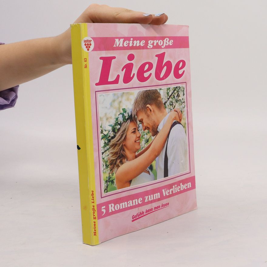 Kolektiv autorů Meine große Liebe 63