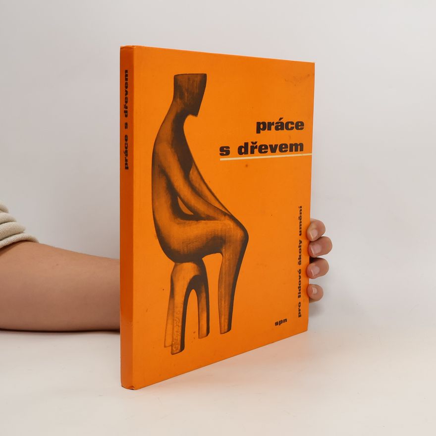 Collectif d'auteurs Práce se dřevem pro lidové školy umění