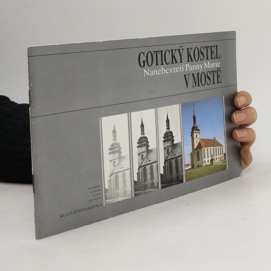 Kolektív autorov Gotický kostel Nanebevzetí Panny Marie v Mostě