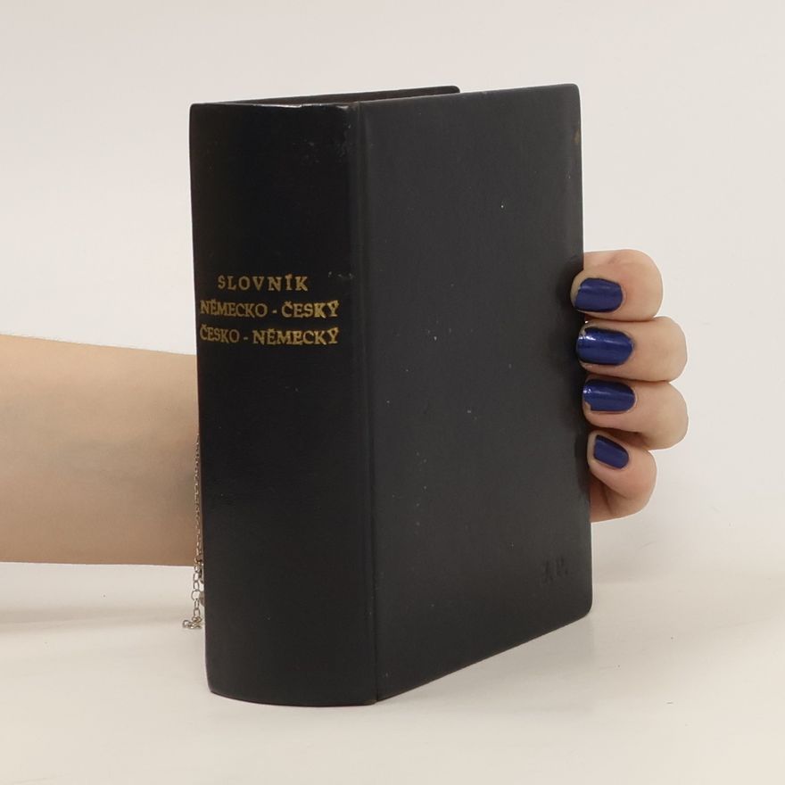 Autorenkollektiv Slovník německo-český a česko-německý