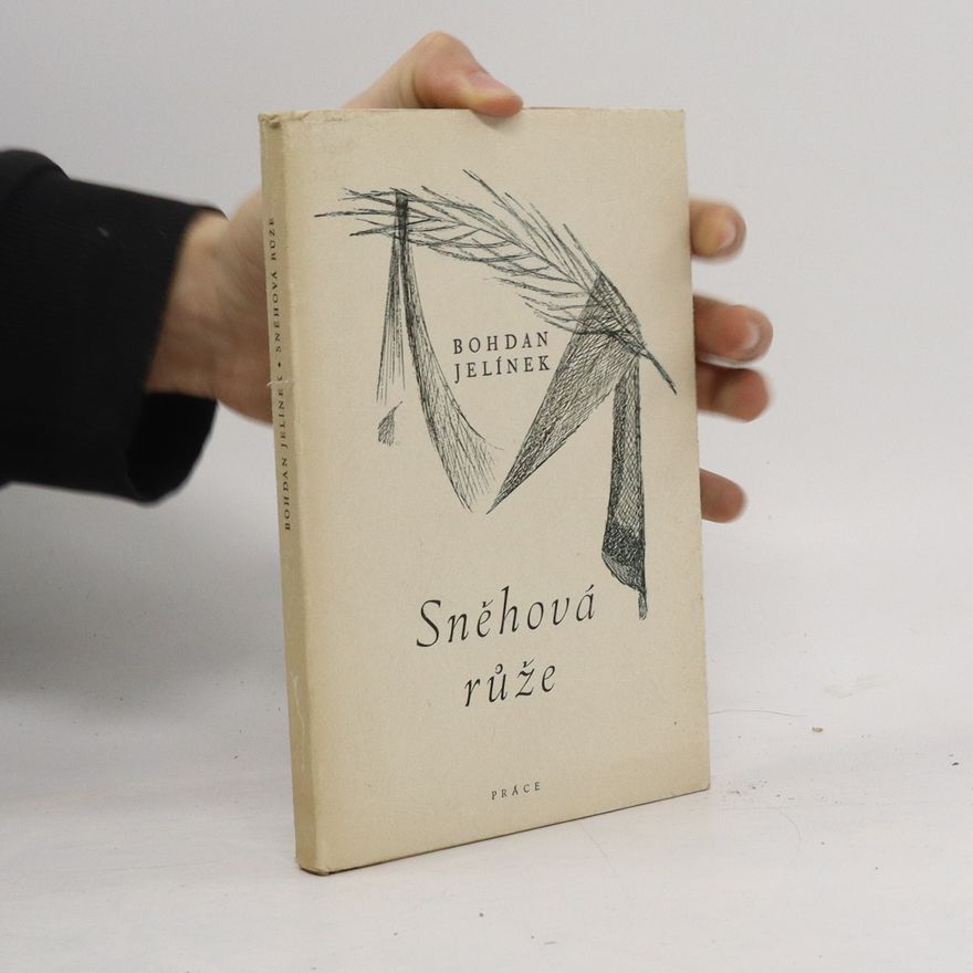 Bohdan Jelínek Sněhová růže