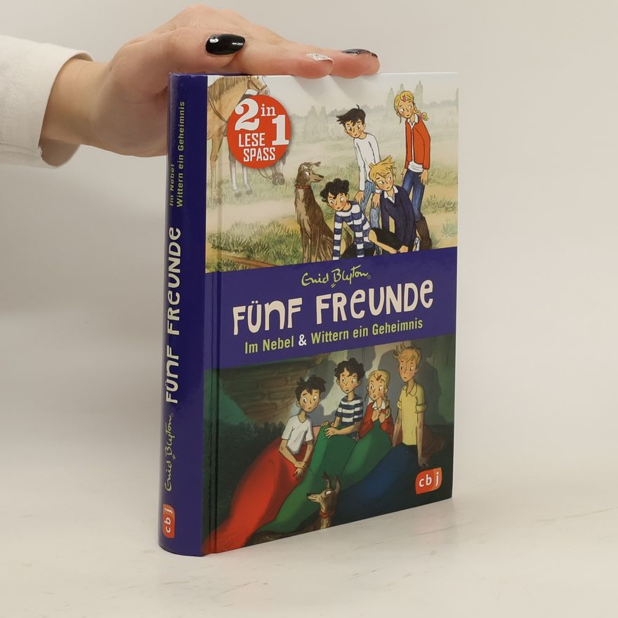 Enid Blyton Fünf Freunde, Im Nebel a Wittern ein Geheimnis