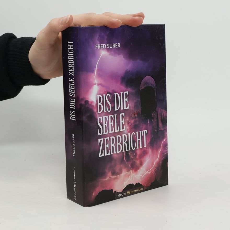 Fred Surer Bis die Seele zerbricht