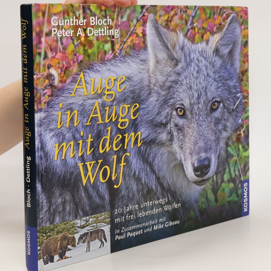 Peter A. Dettling Auge in Auge mit dem Wolf