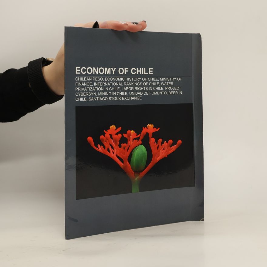 Kolektiv autorů Economy of Chile