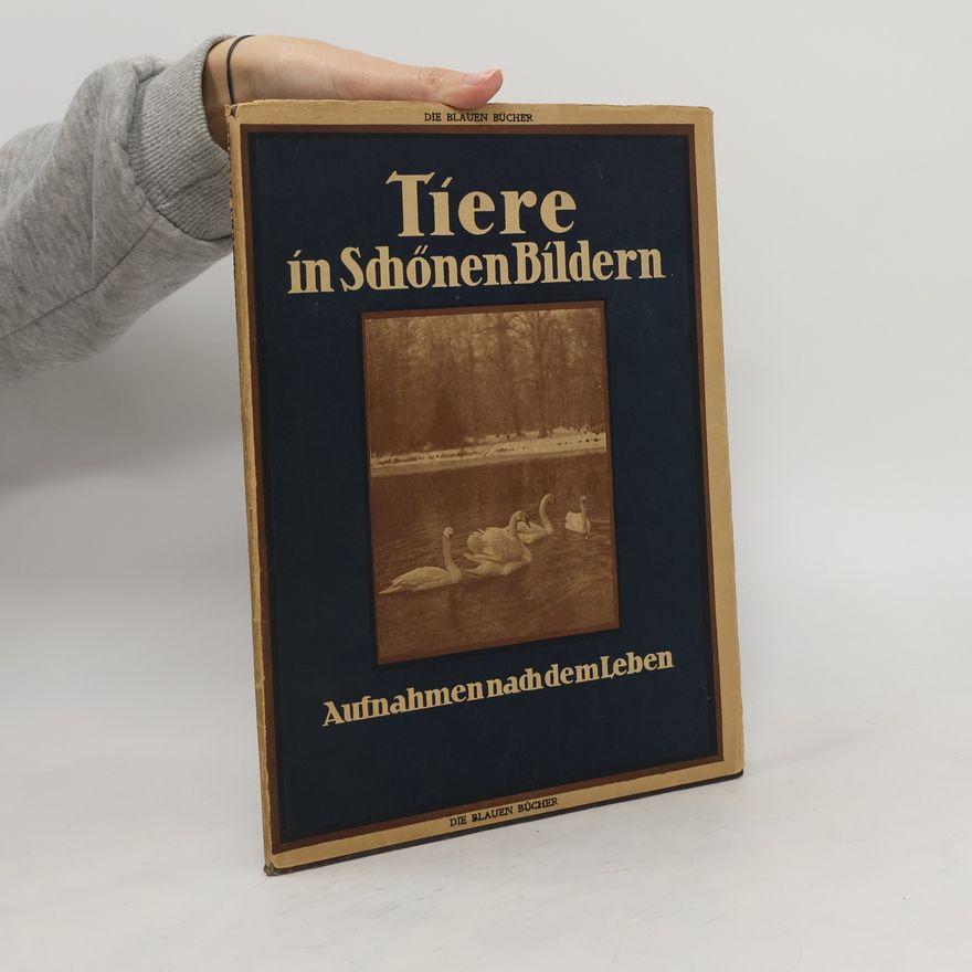 Autorenkollektiv Tiere in schönen Bildern