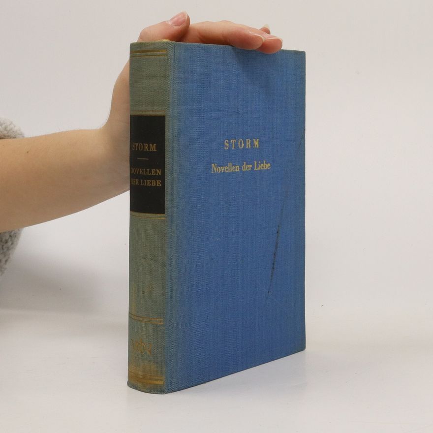 Hans Theodor Woldsen Storm Novellen der Liebe