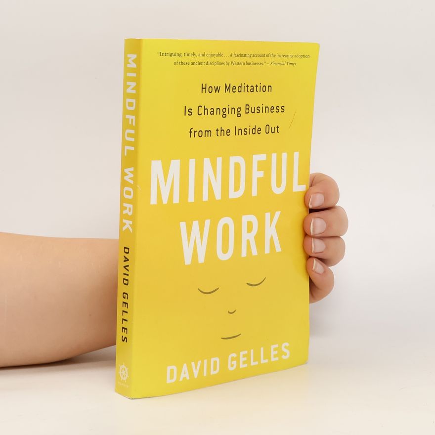 David Gelles Mindful Work