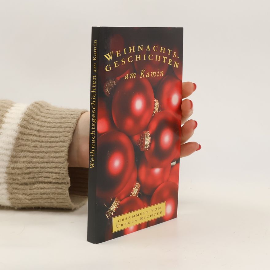 Collectif d'auteurs Weihnachtsgeschichten am Kamin