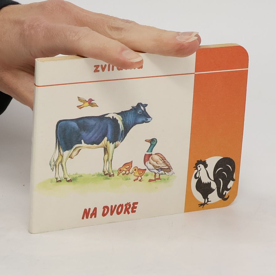 Kolektiv autorů Zvířátka na dvoře