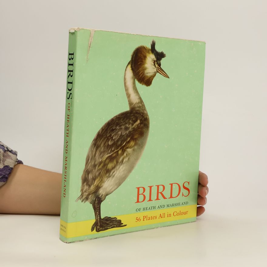 A. Denešová Birds of Heath and Marshland