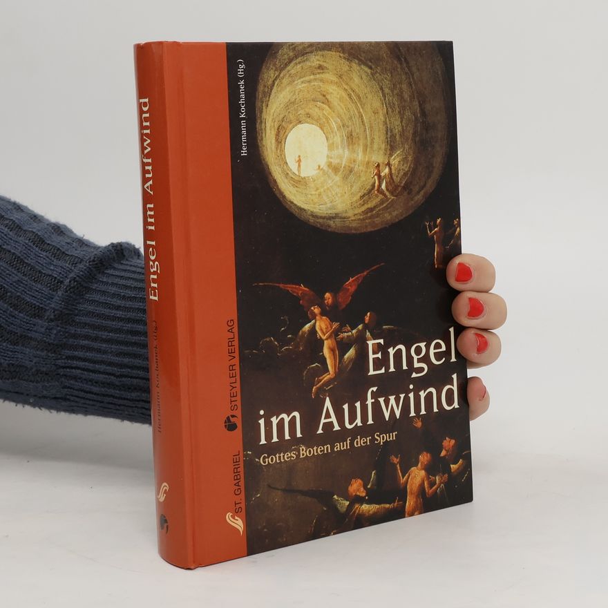 Hermann Kochanek Engel im Aufwind