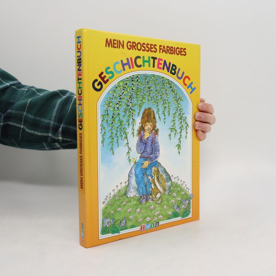 Autorenkollektiv Mein grosses farbiges. Geschichtenbuch