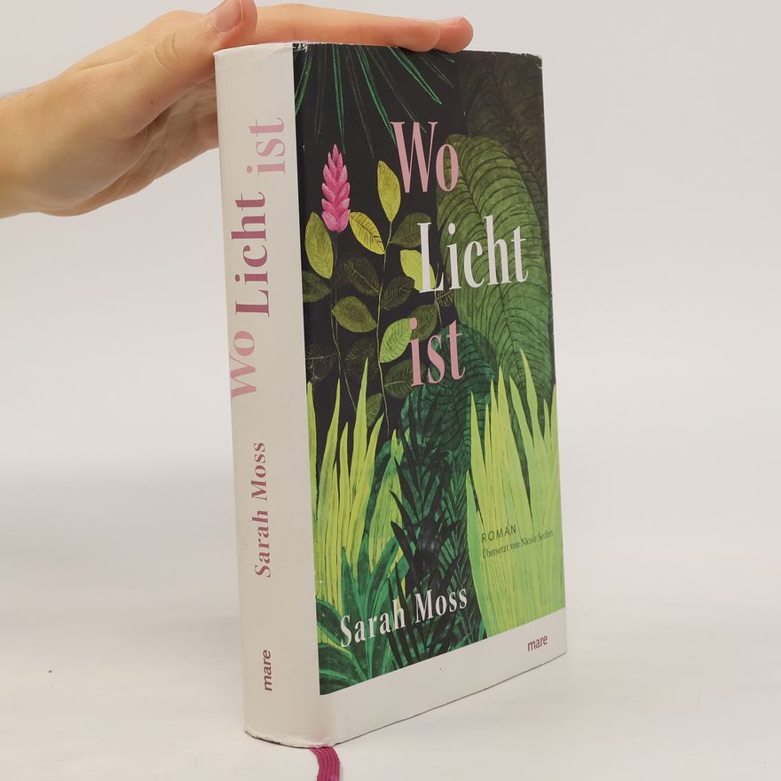 Sarah Moss Wo Licht ist